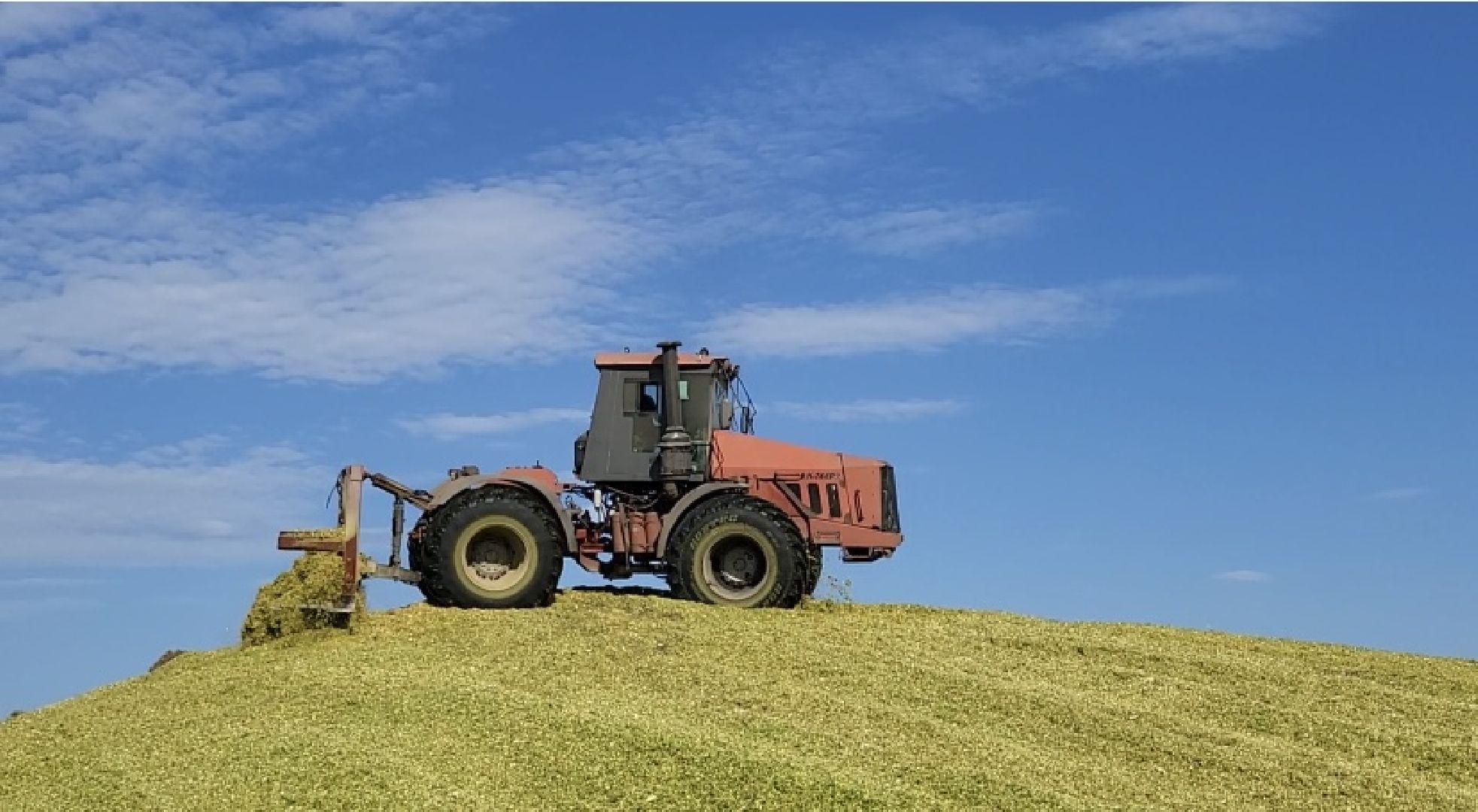 луховицы, уборочная кампания, сельское хозяйство, уборка кукурузы,