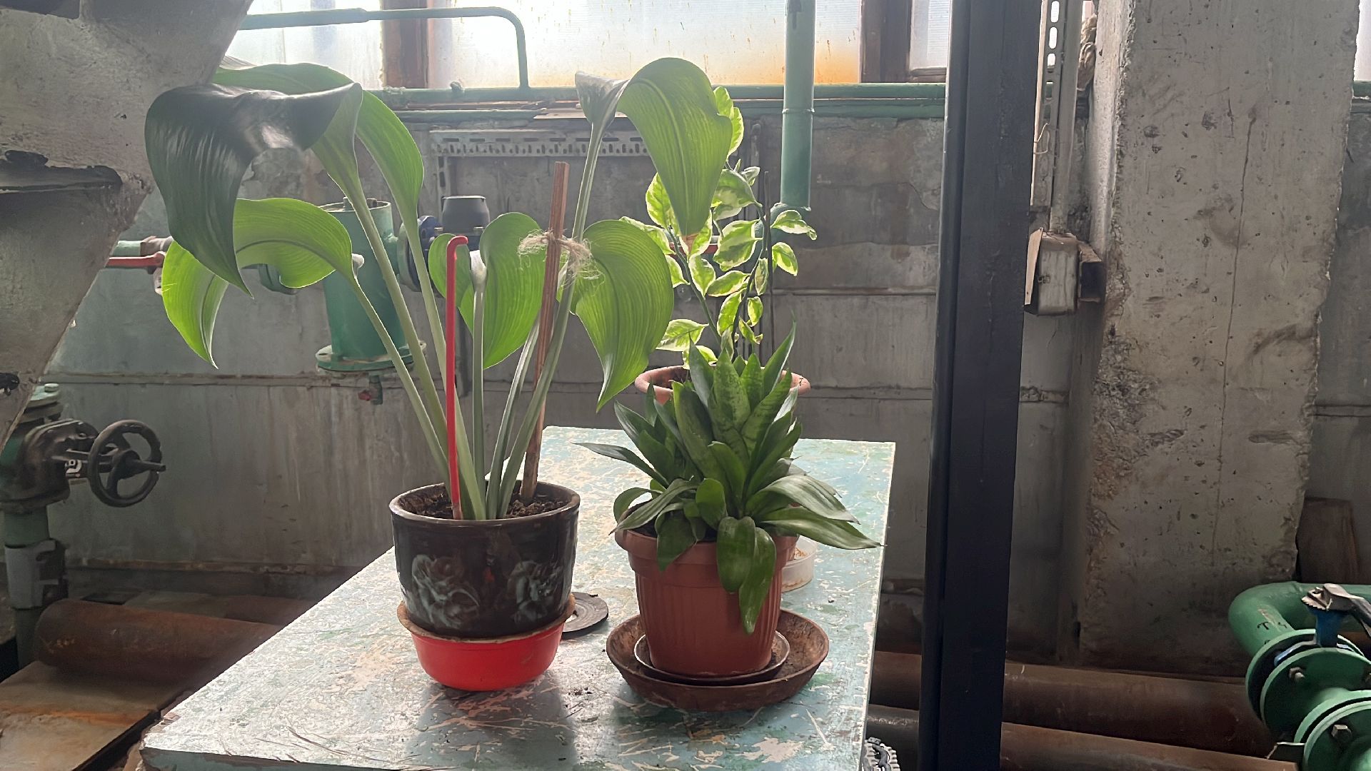 волоколамск,