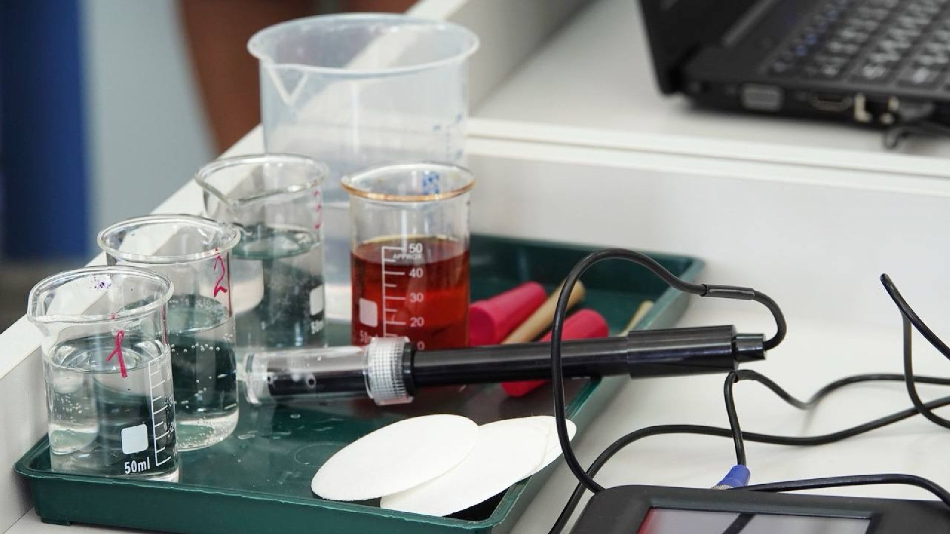 Образование, Точка роста, Сергиево-Посадский городской округ,