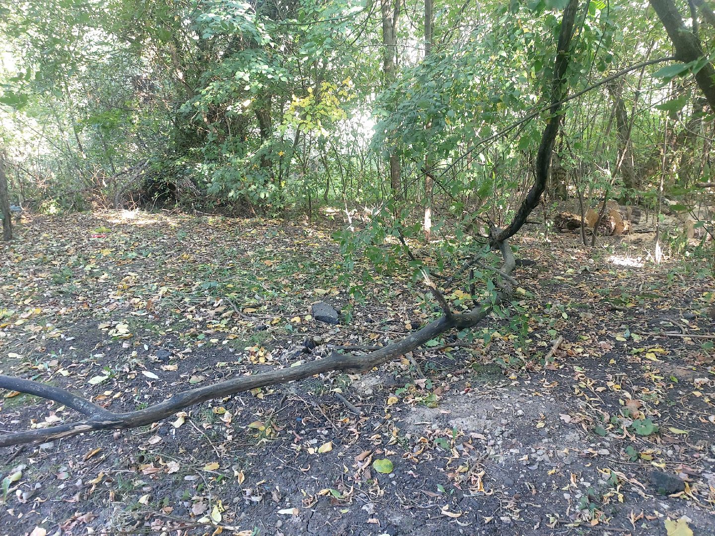 Администрация, выездная администрация, содержание дворовых территорий,