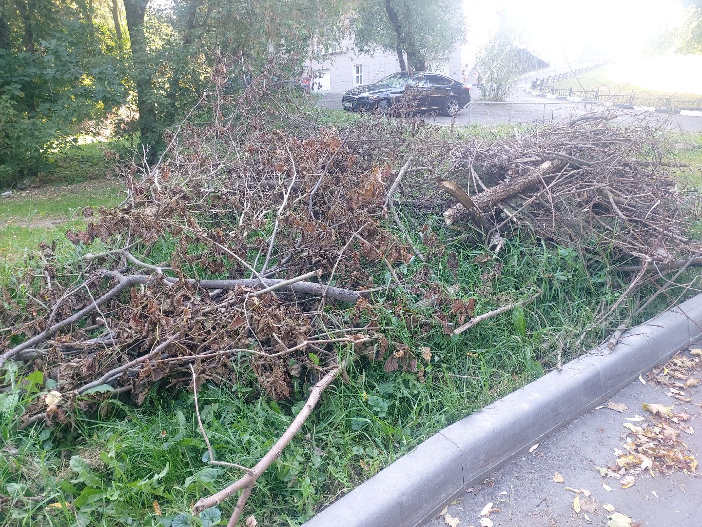 Администрация, выездная администрация, содержание дворовых территорий,