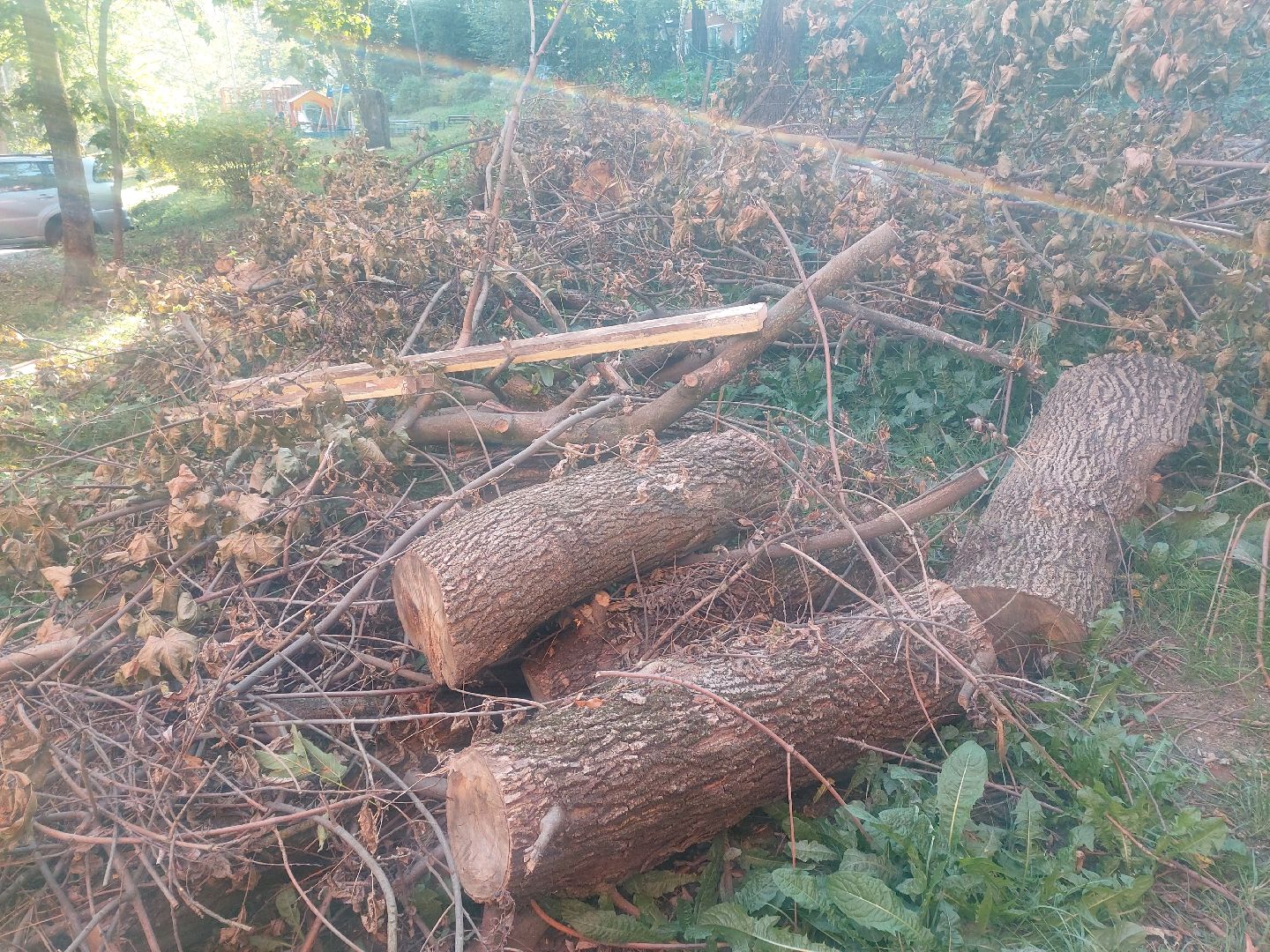 Администрация, выездная администрация, содержание дворовых территорий,