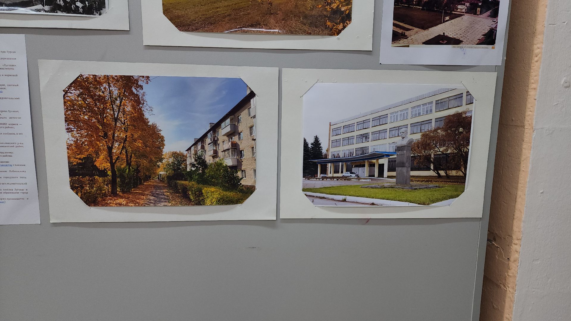 Выставка, История, Лобня, Луговая,