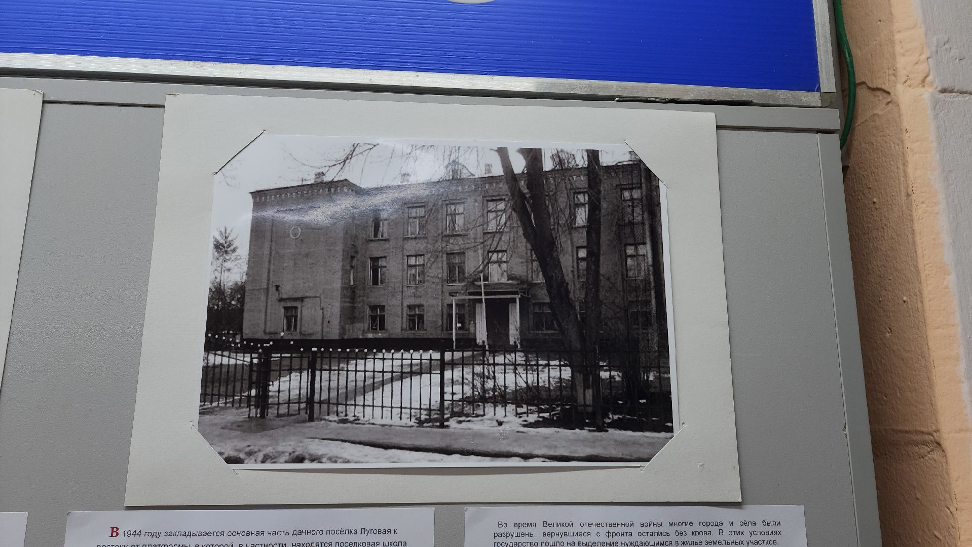 Выставка, История, Лобня, Луговая,