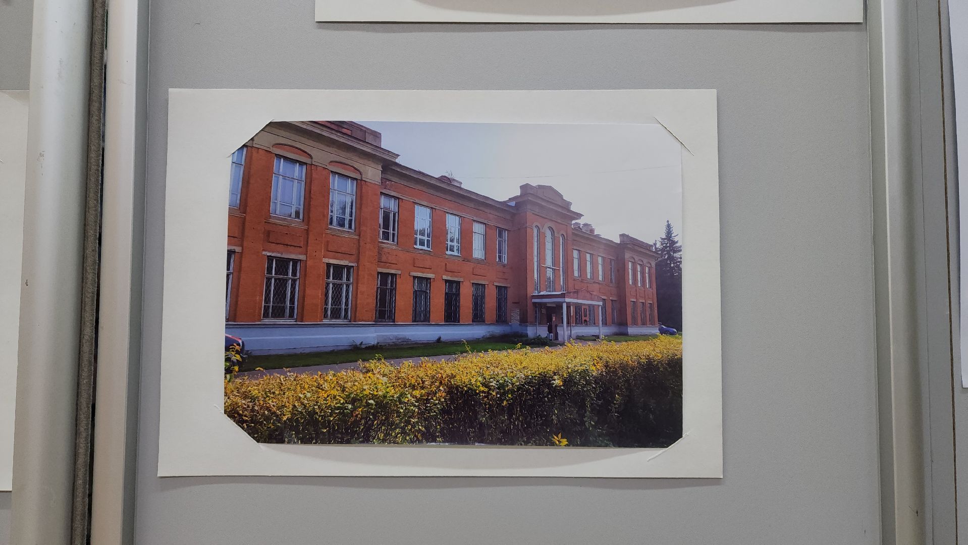 Выставка, История, Лобня, Луговая,