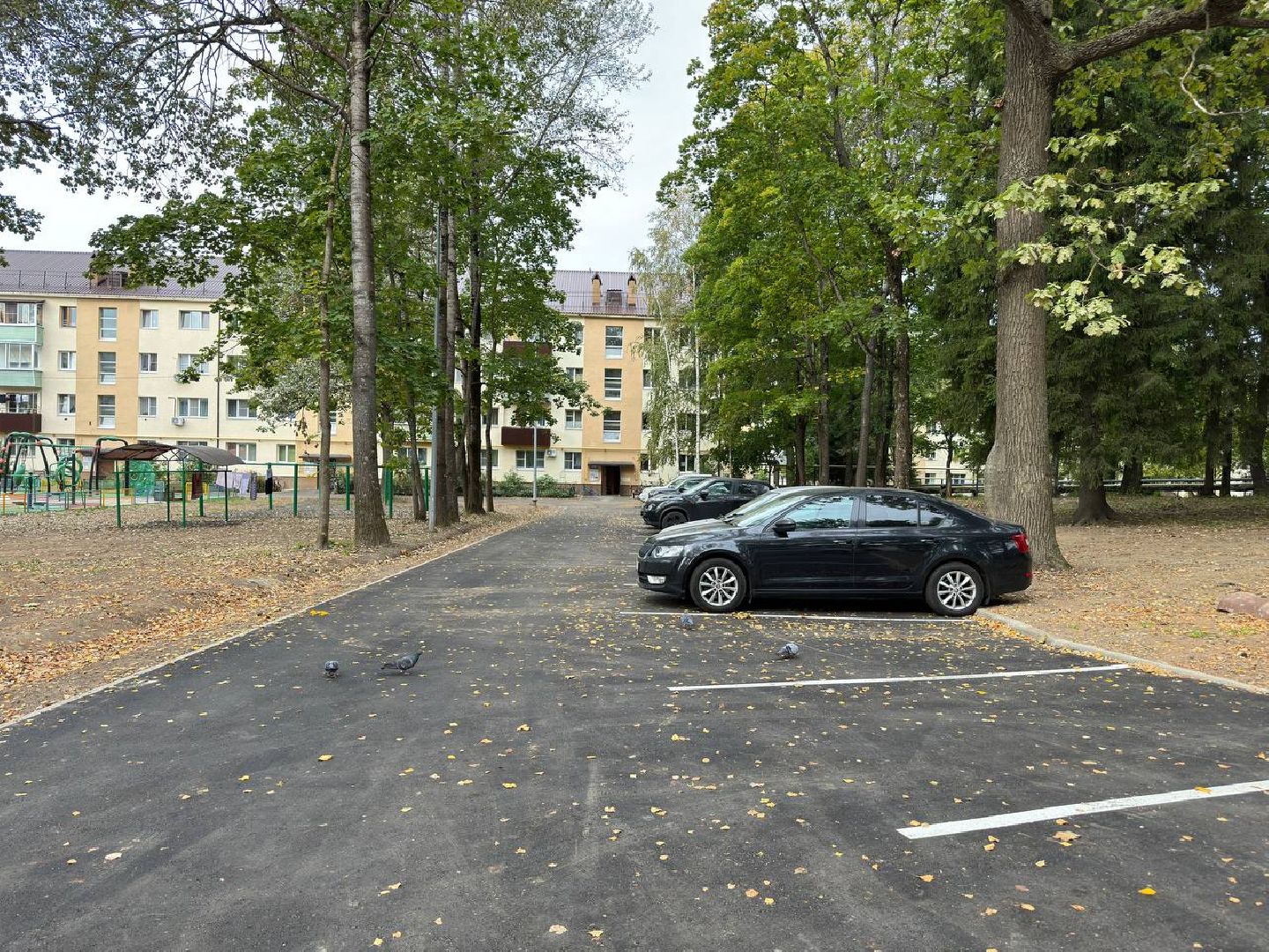 асфальтирование дворов дорог, городской округ восход, бригада рабочих, благоуйстройство,