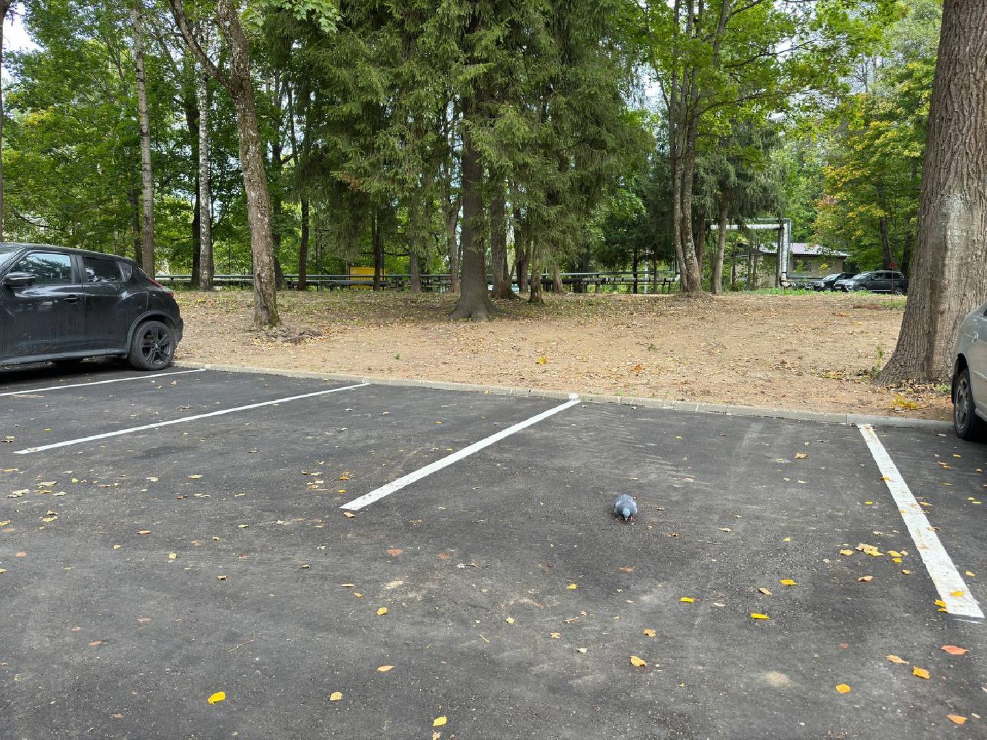 асфальтирование дворов дорог, городской округ восход, бригада рабочих, благоуйстройство,