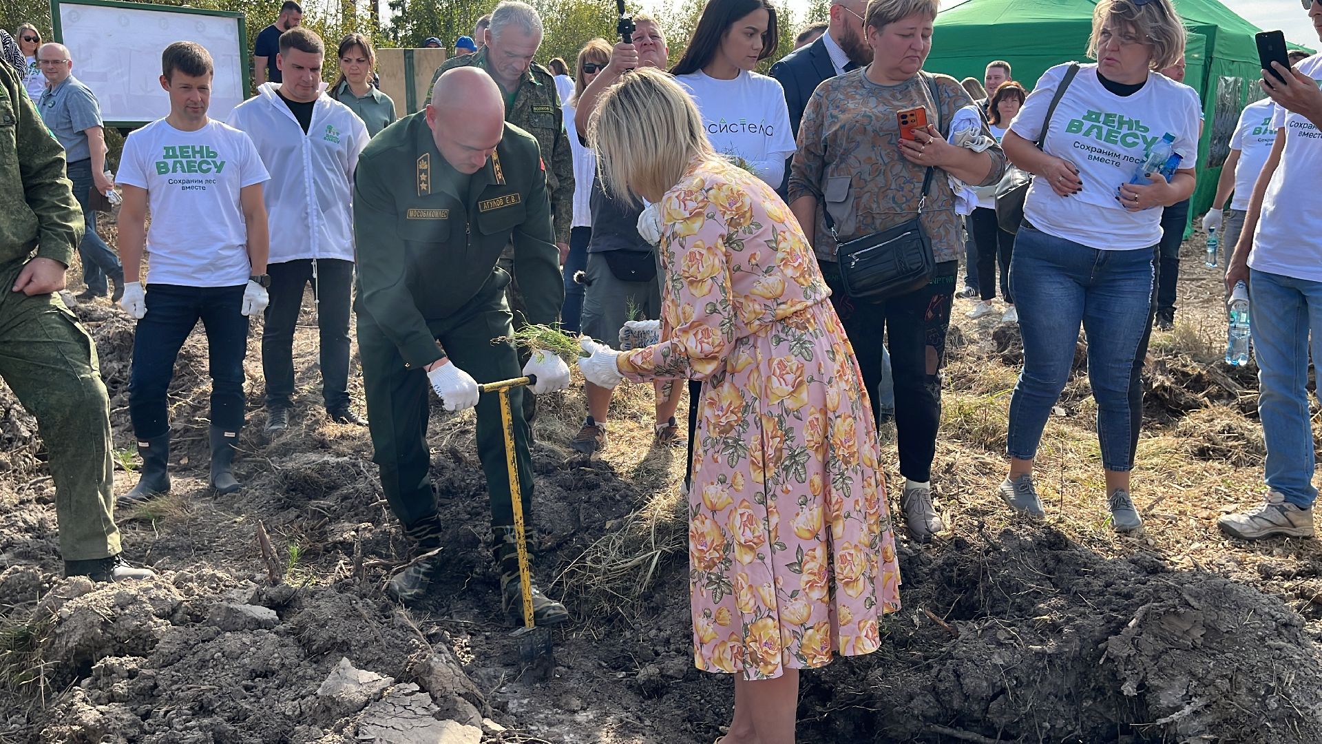 лес, день в лесу, эко, экоакция, экологическая акция, посадка деревьев,