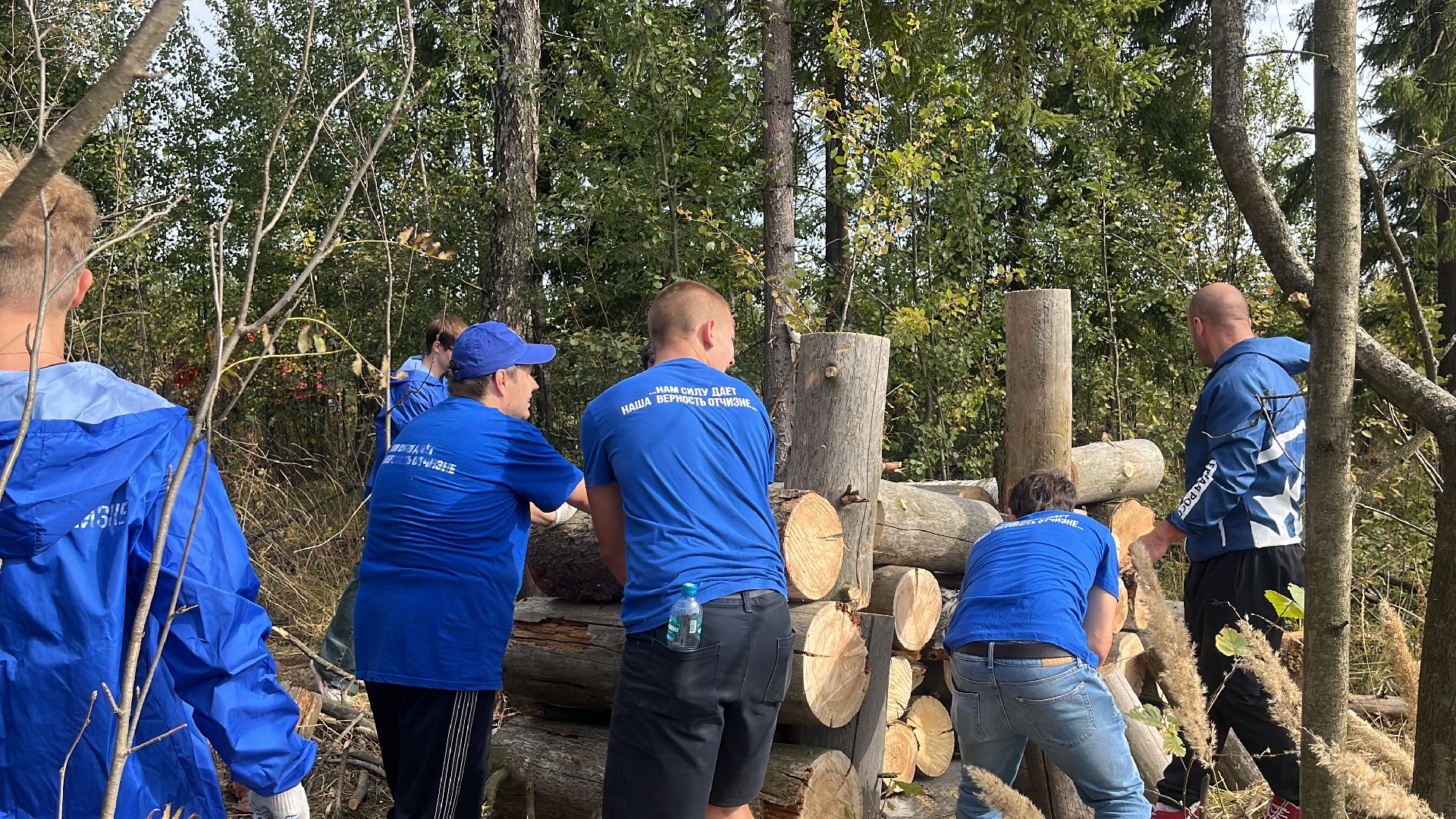 лес, день в лесу, эко, экоакция, экологическая акция, посадка деревьев,