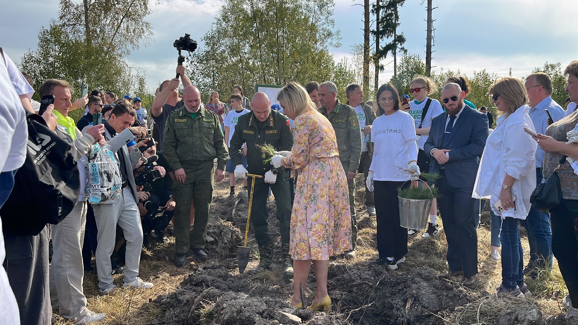 лес, день в лесу, эко, экоакция, экологическая акция, посадка деревьев,