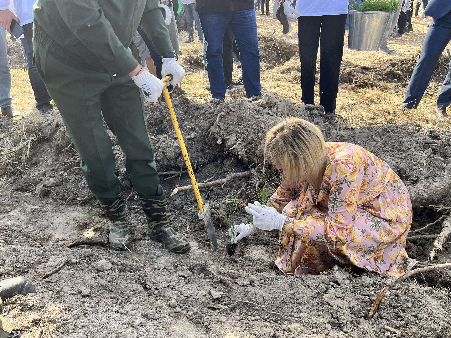 лес, день в лесу, эко, экоакция, экологическая акция, посадка деревьев,