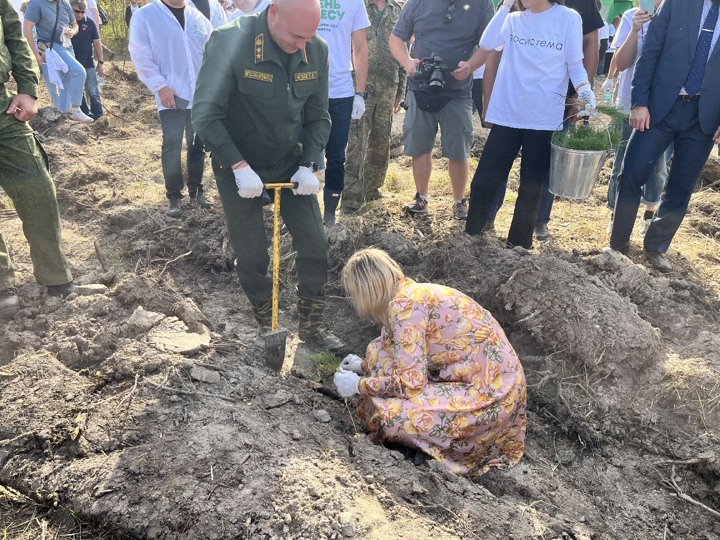 лес, день в лесу, эко, экоакция, экологическая акция, посадка деревьев,