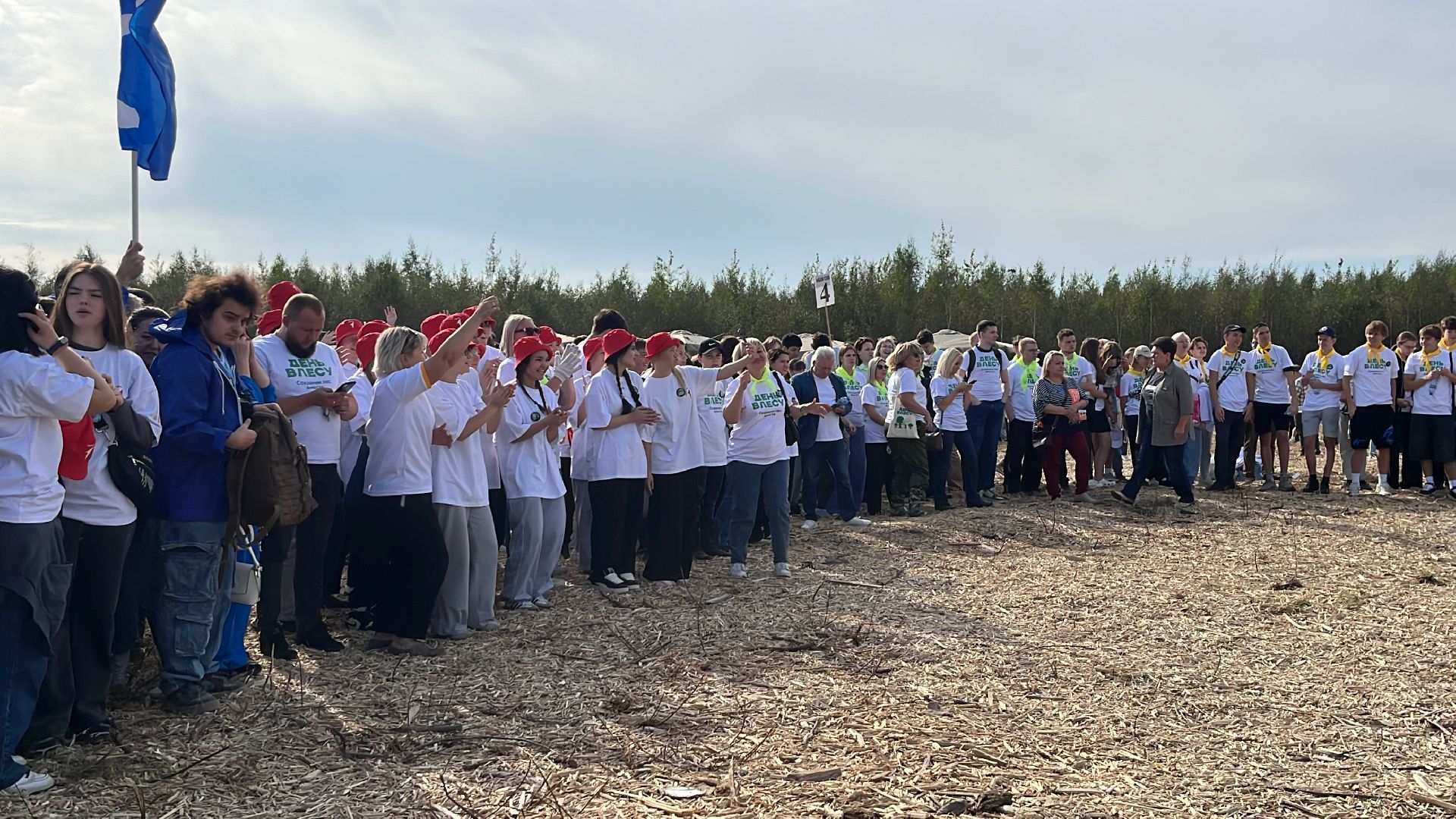 лес, день в лесу, эко, экоакция, экологическая акция, посадка деревьев,
