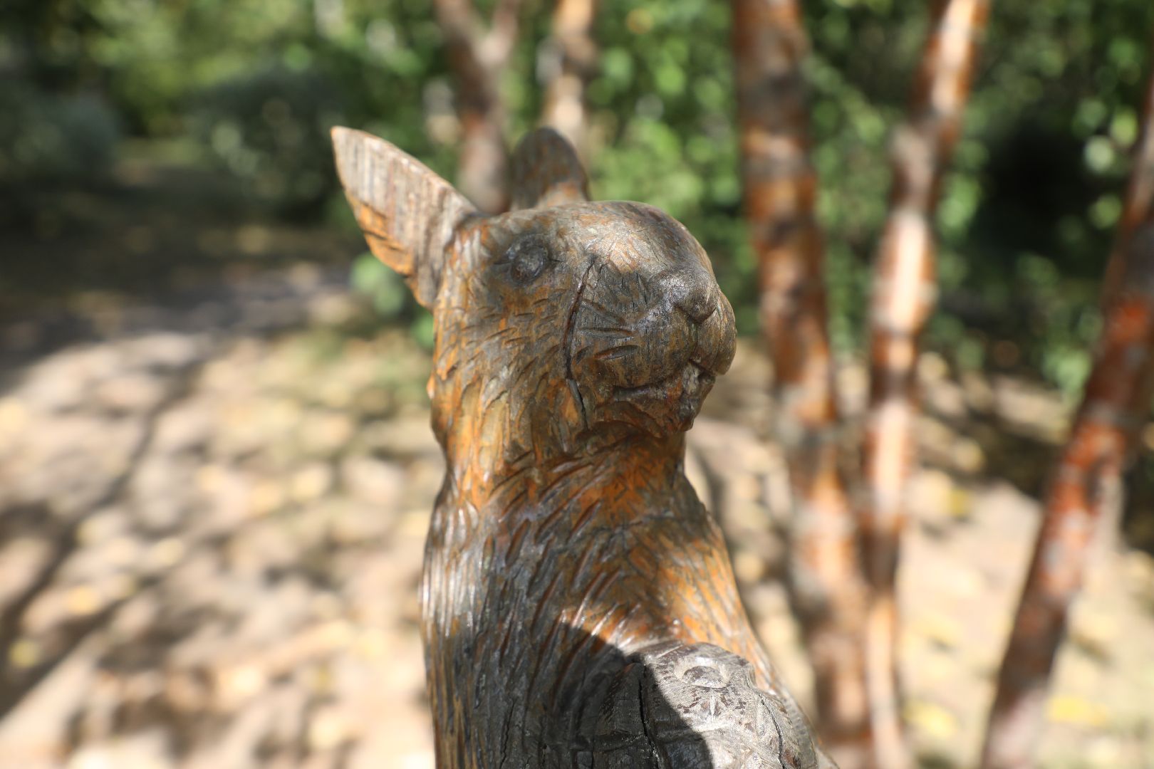 лыткарино выездная администрация,