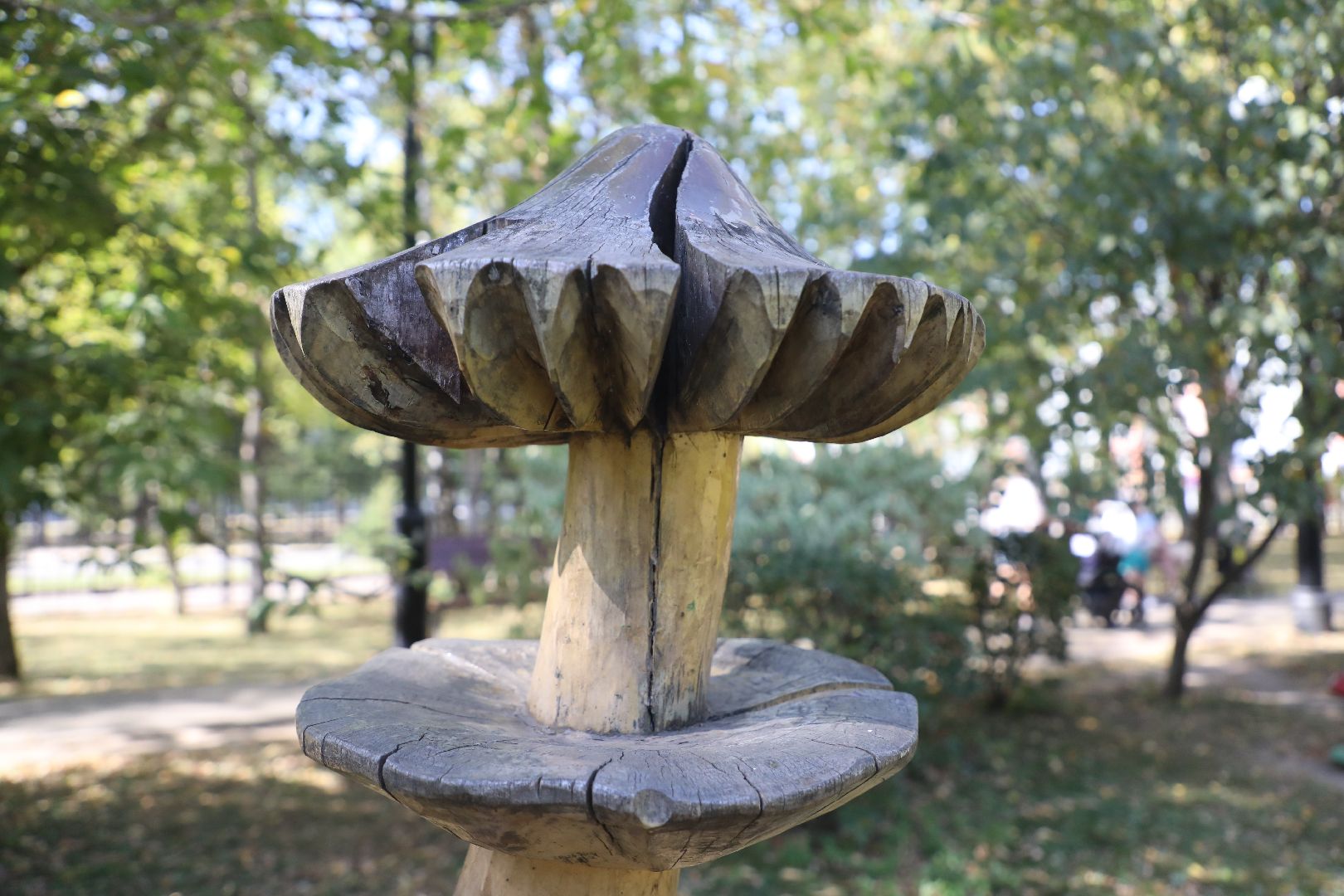 лыткарино выездная администрация,