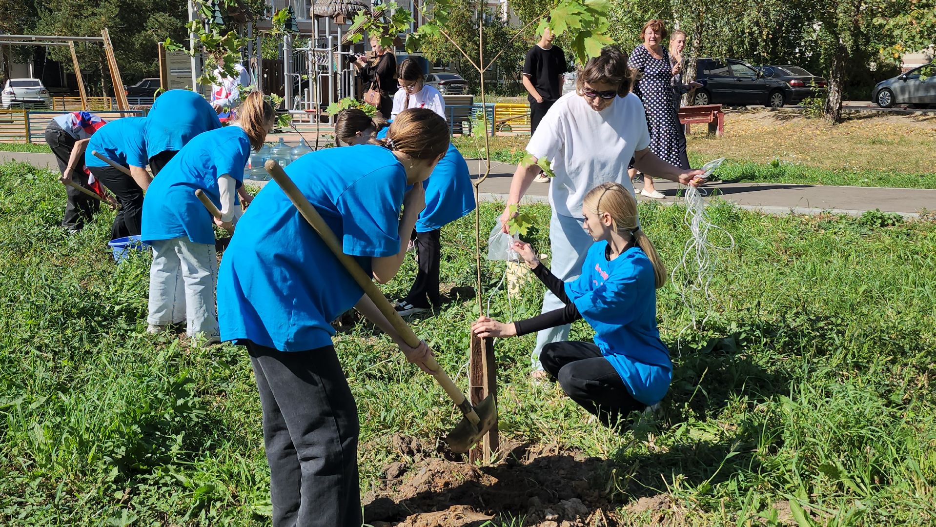 серпухов, волонтеры, день города, поселок большевик, посадка деревьев,