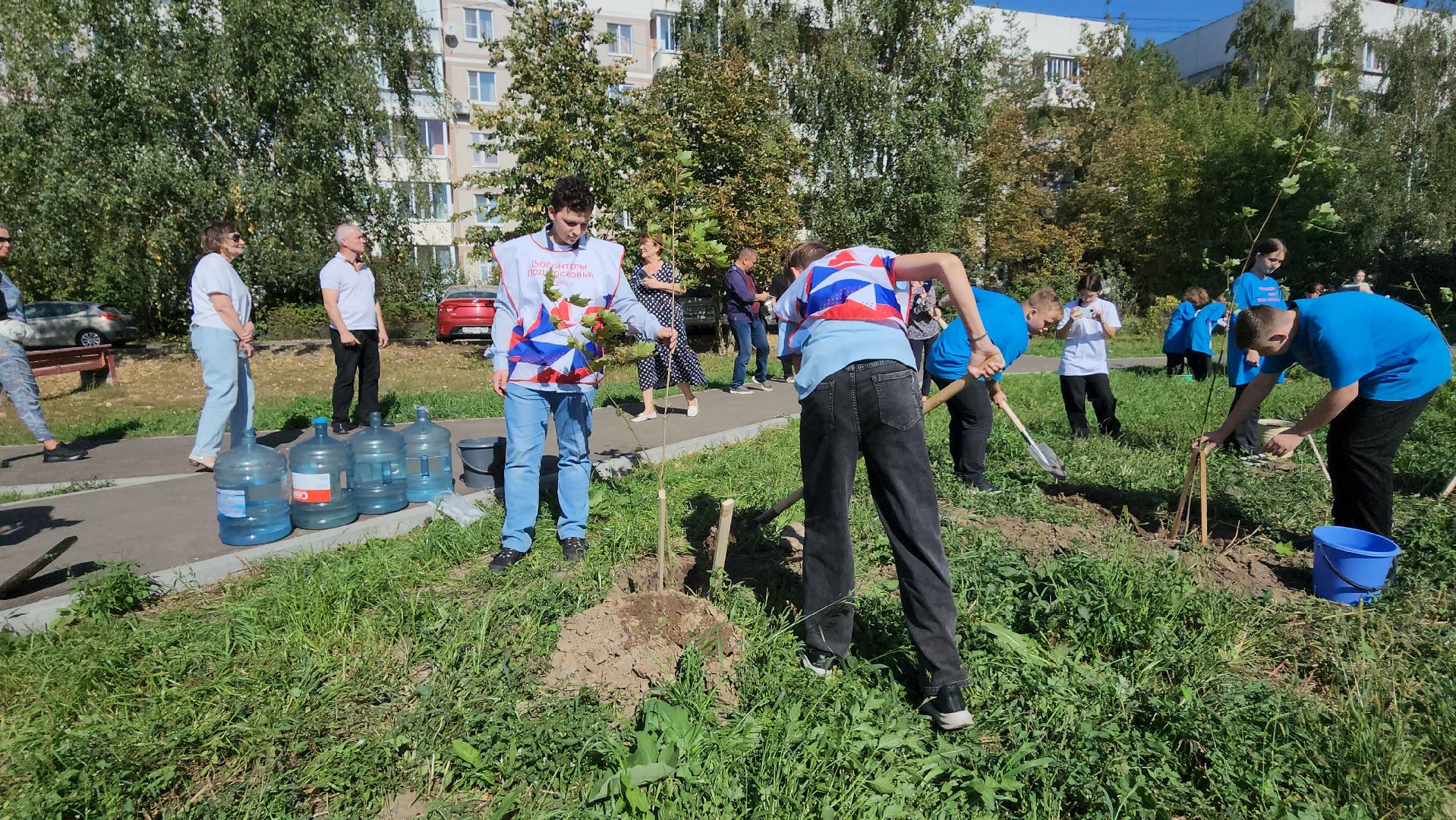 серпухов, волонтеры, день города, поселок большевик, посадка деревьев,