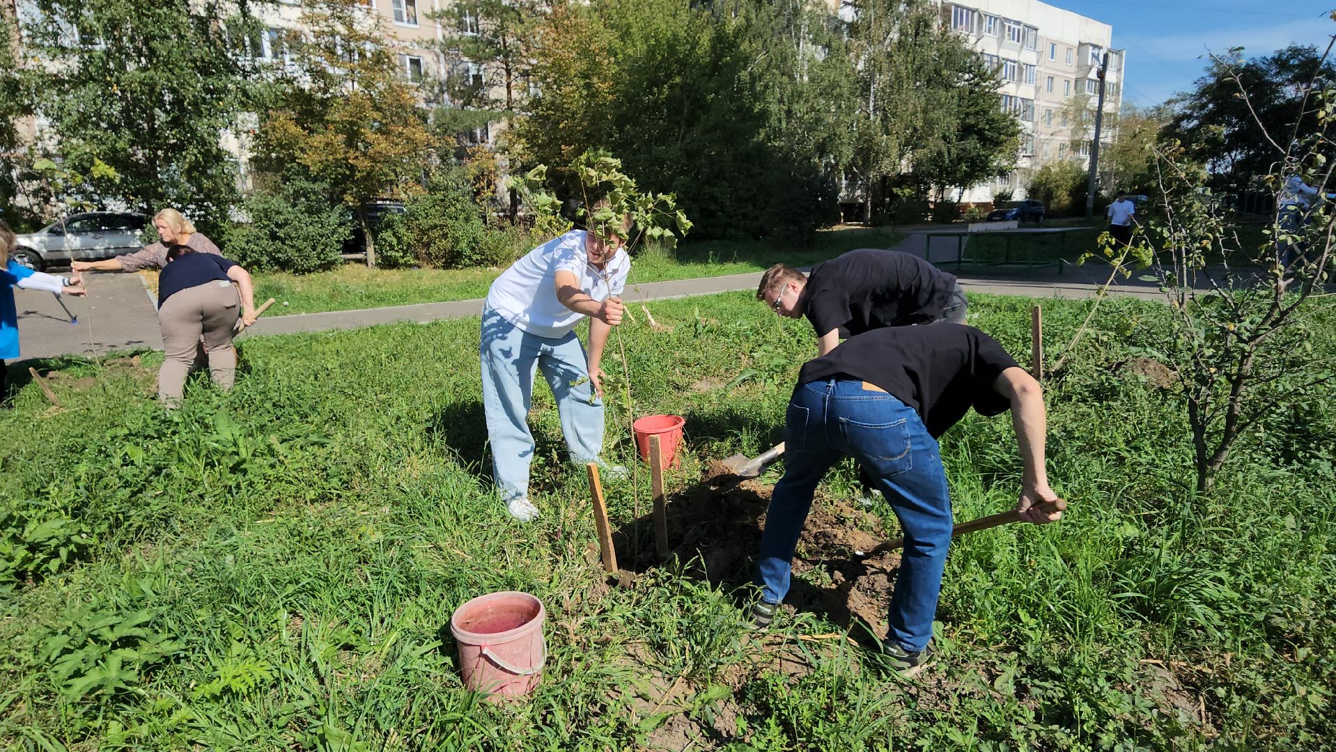 серпухов, волонтеры, день города, поселок большевик, посадка деревьев,