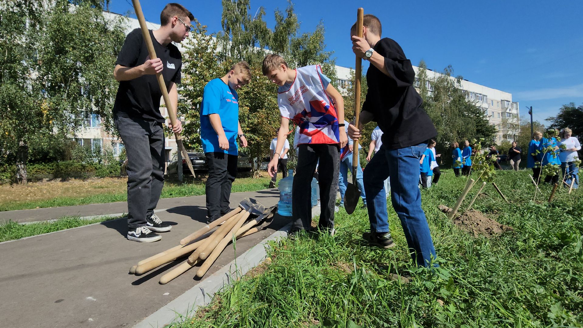 серпухов, волонтеры, день города, поселок большевик, посадка деревьев,