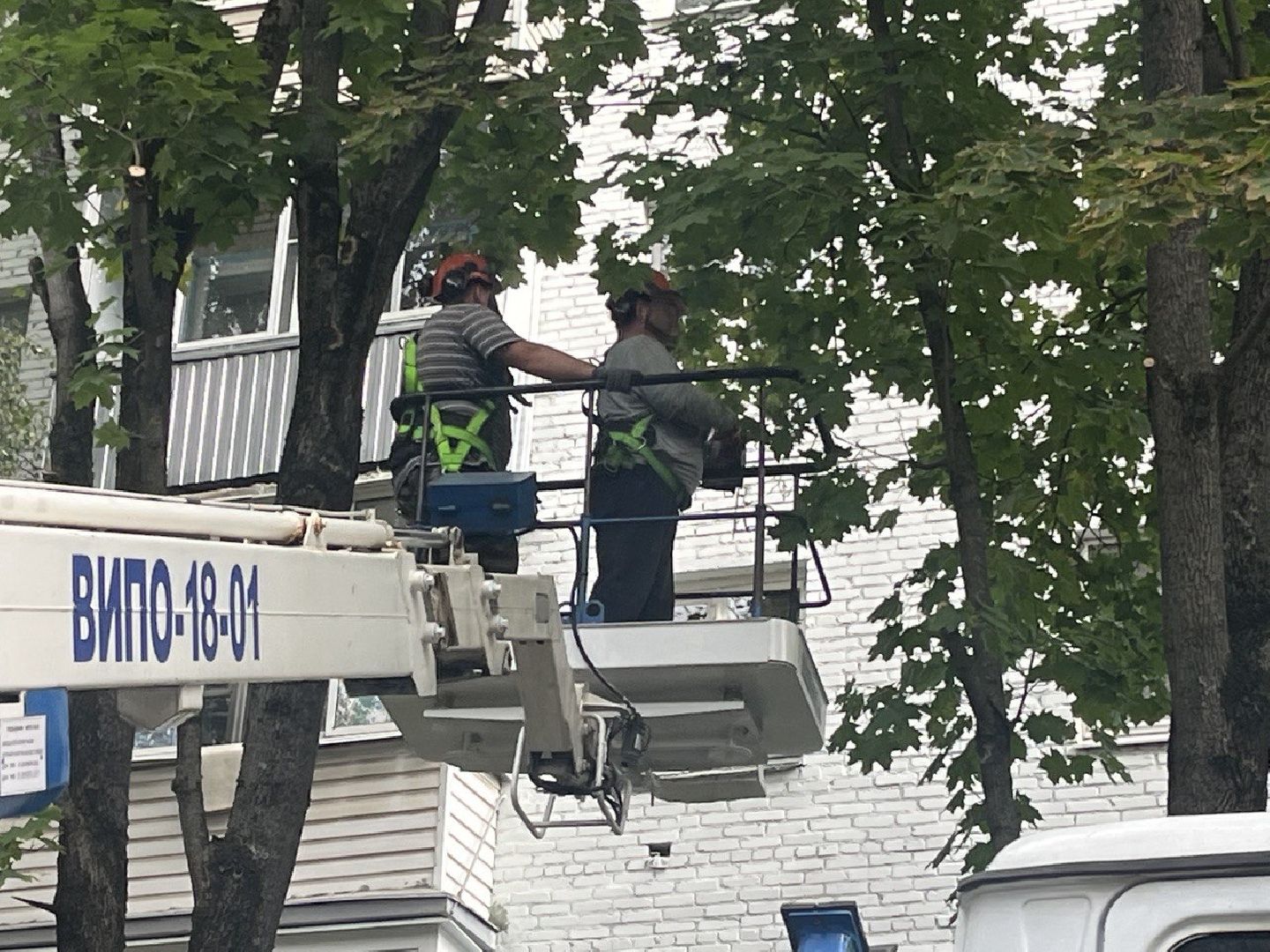 Благоустройство, Спиливание веток, улучшение условий,