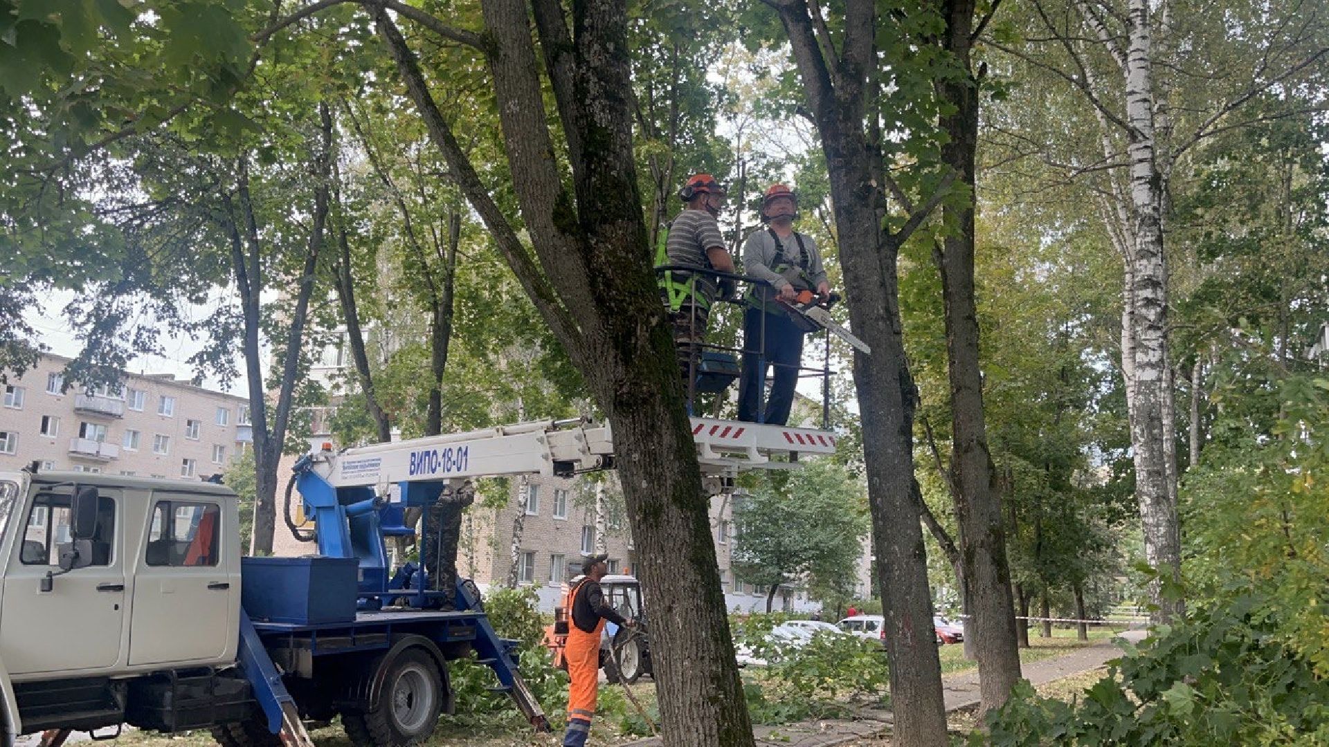 Благоустройство, Спиливание веток, улучшение условий,