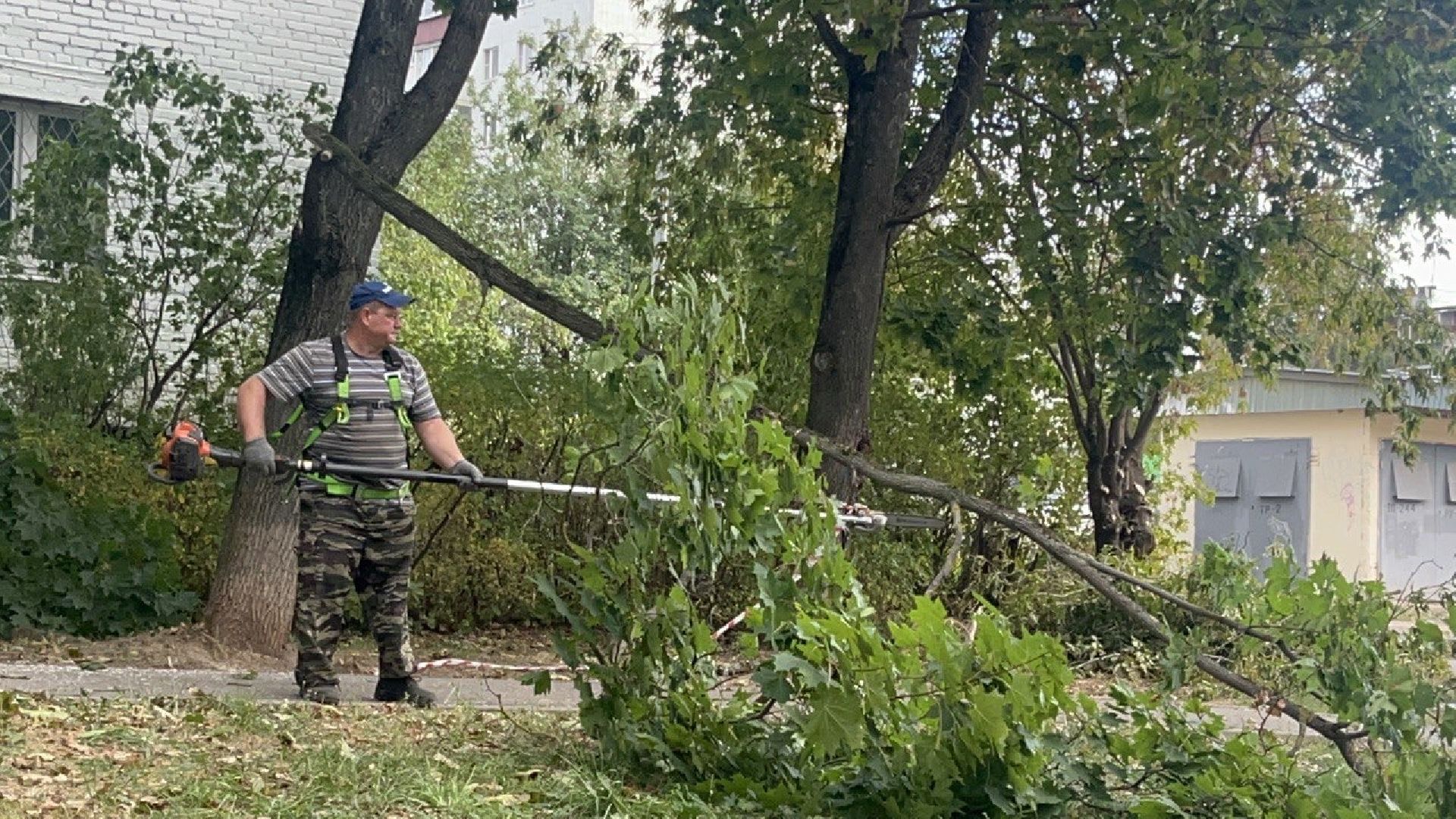 Благоустройство, Спиливание веток, улучшение условий,