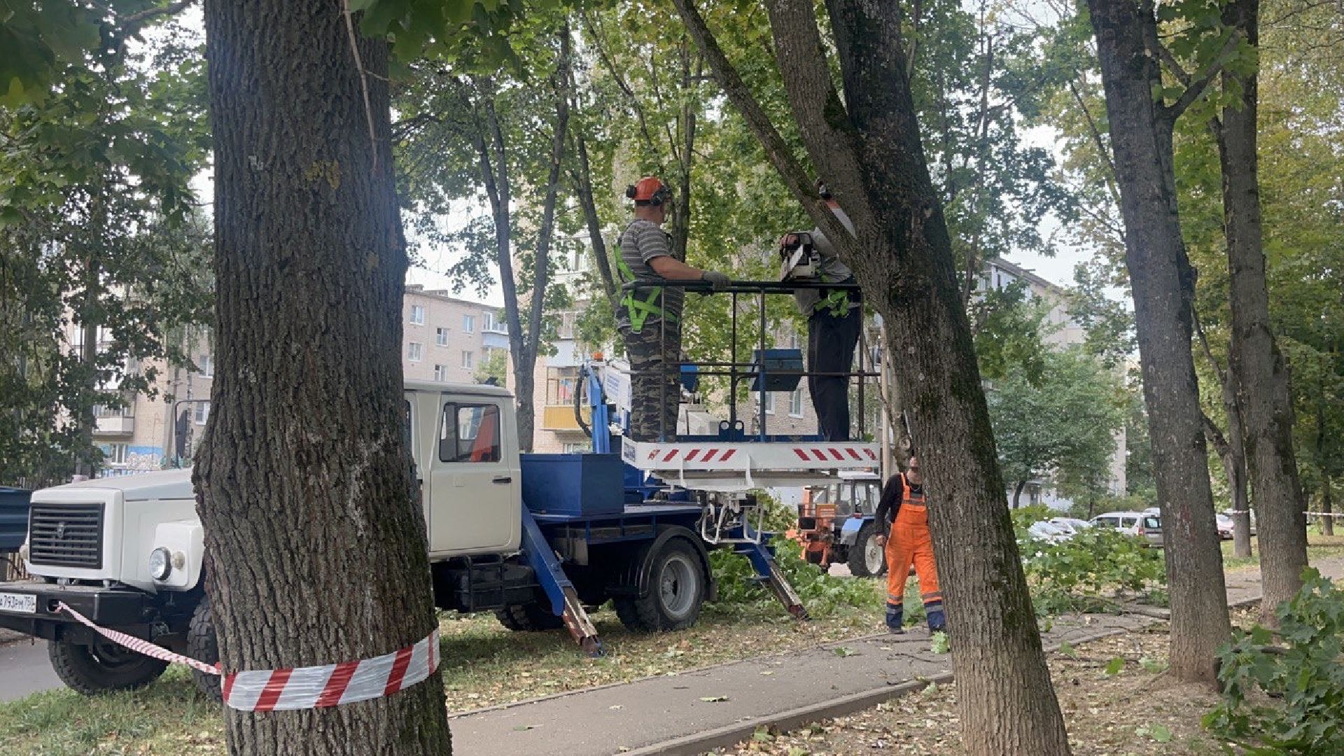 Благоустройство, Спиливание веток, улучшение условий,