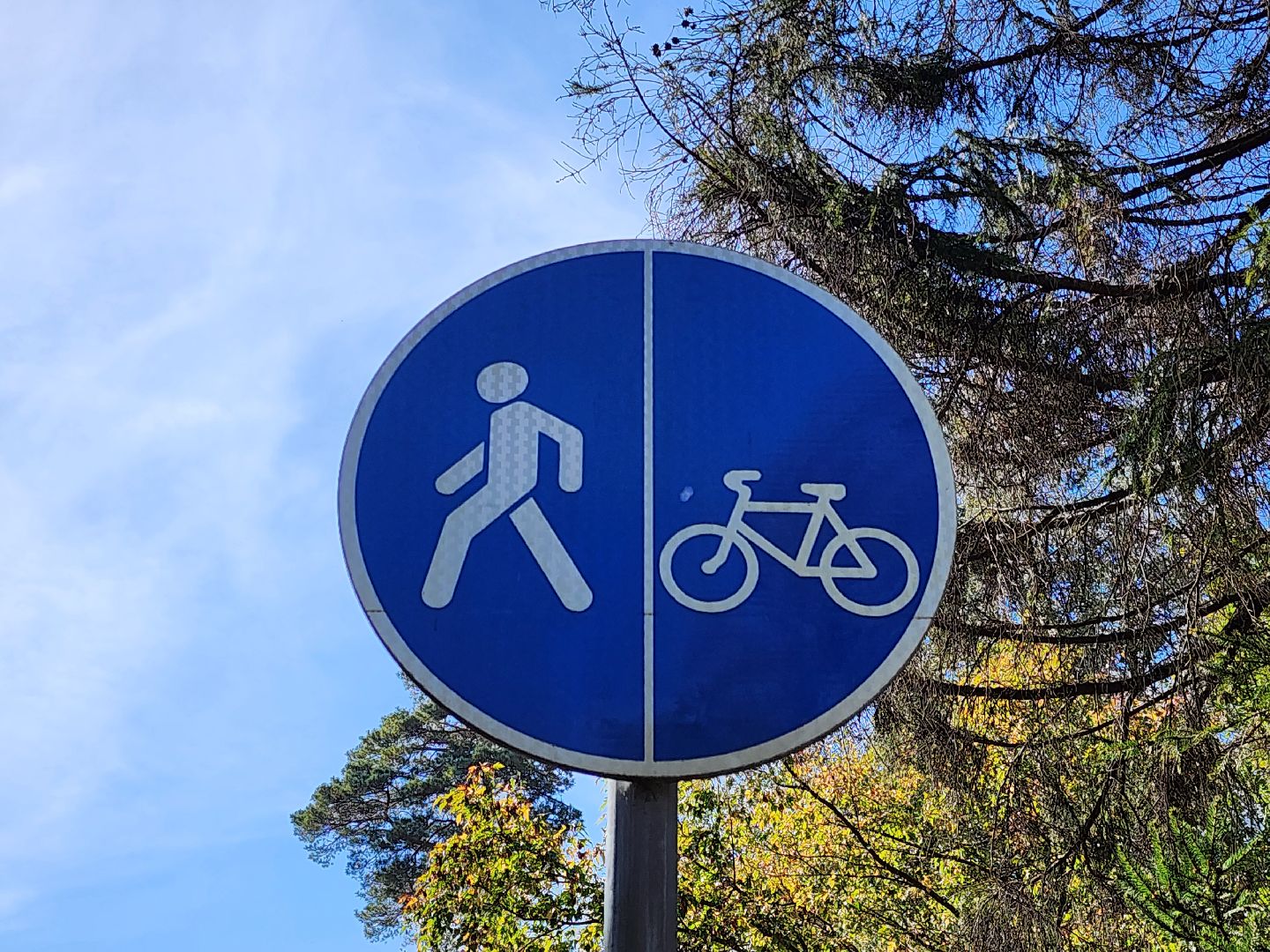 велопробег,