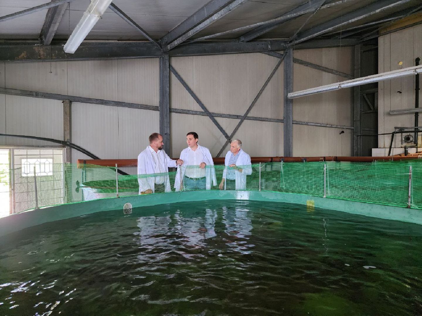 можайск, можайский городской округ, подмосковье, Главрыбвод, производственно-экспериментальный рыбоводный завод, виды осетровых рыб, разведение, экология, сохранение популяции,разведение осетров,