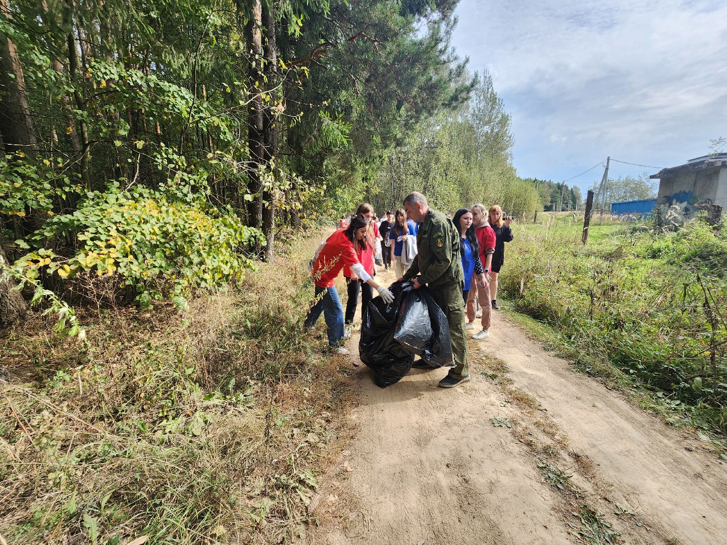 волоколамск, день в лесу, мособллес, экология,