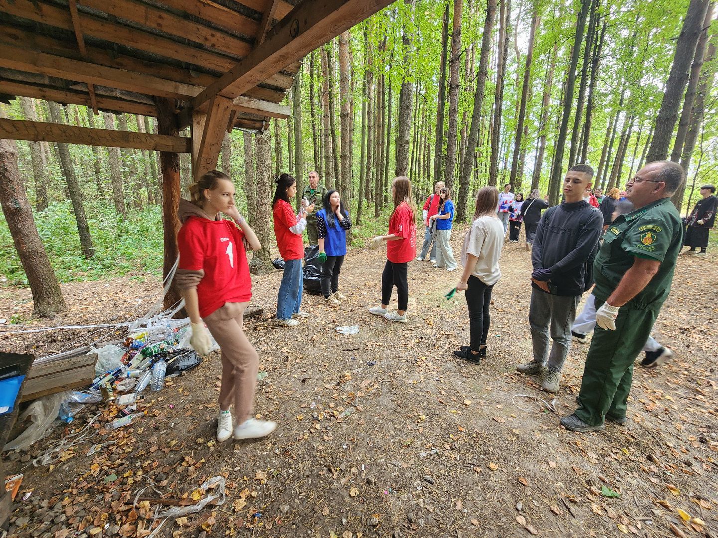 волоколамск, день в лесу, мособллес, экология,