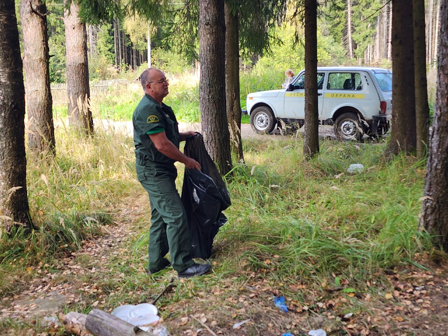 волоколамск, день в лесу, мособллес, экология,