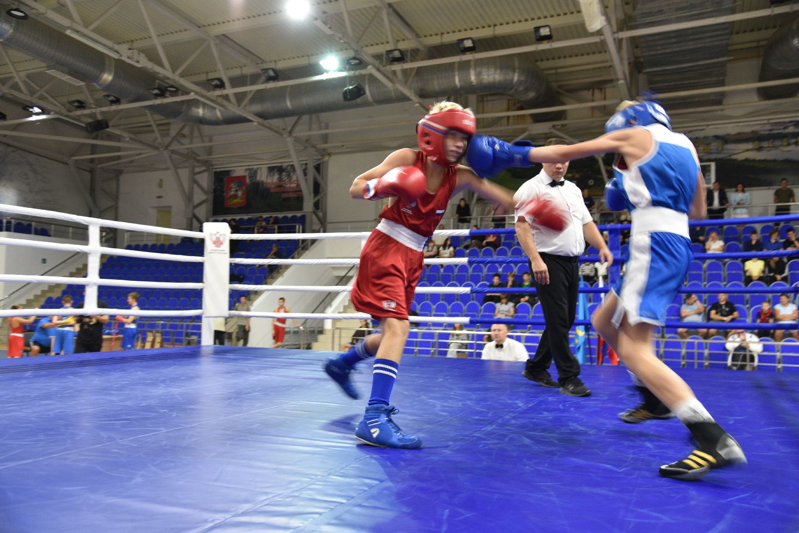 лотошино, ксц лотошино, бокс, спорт, турнир по боксу,