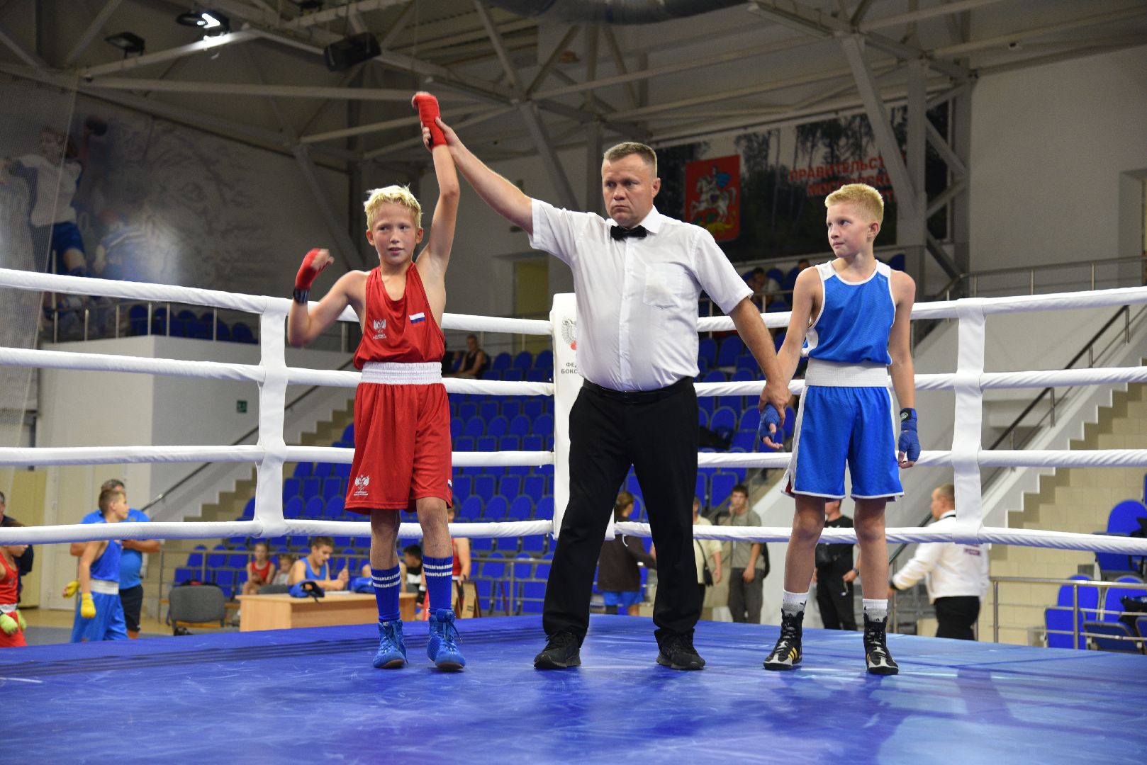 лотошино, ксц лотошино, бокс, спорт, турнир по боксу,