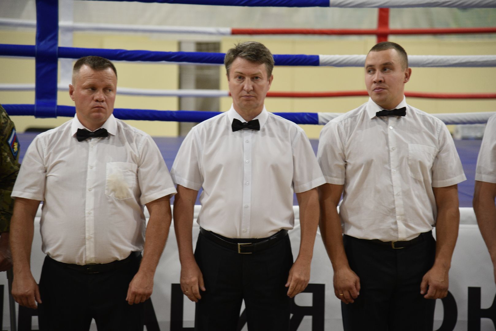 лотошино, ксц лотошино, бокс, спорт, турнир по боксу,