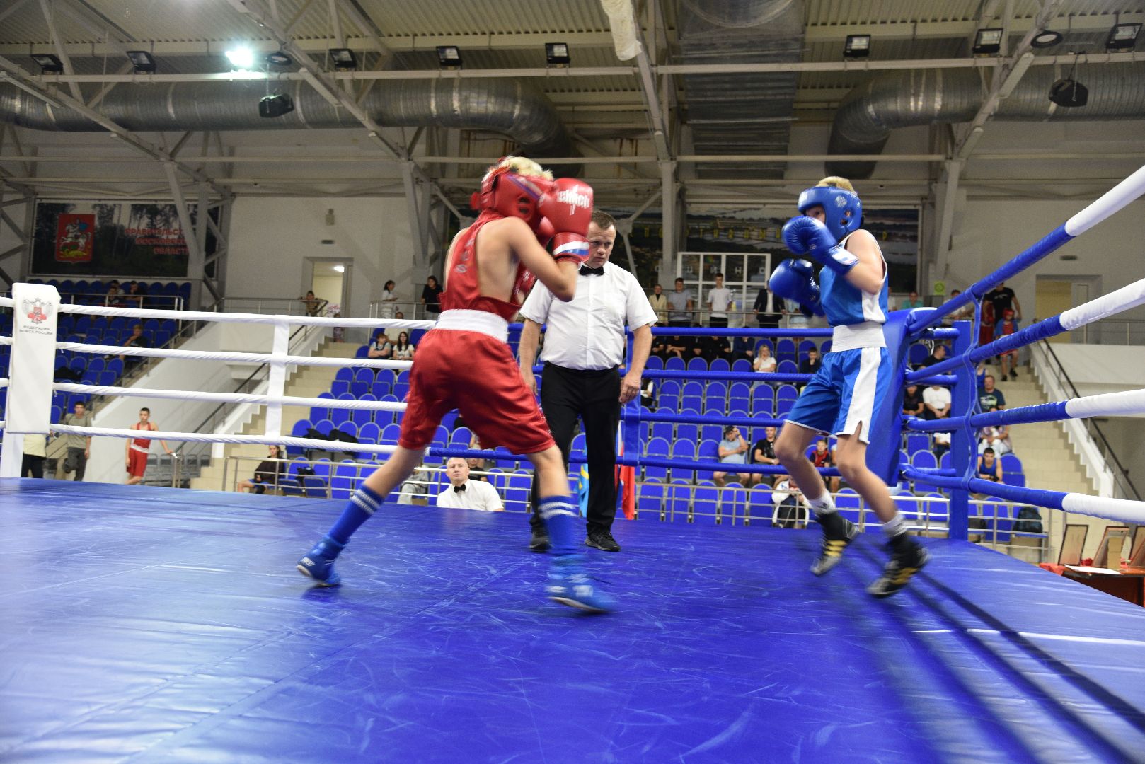 лотошино, ксц лотошино, бокс, спорт, турнир по боксу,