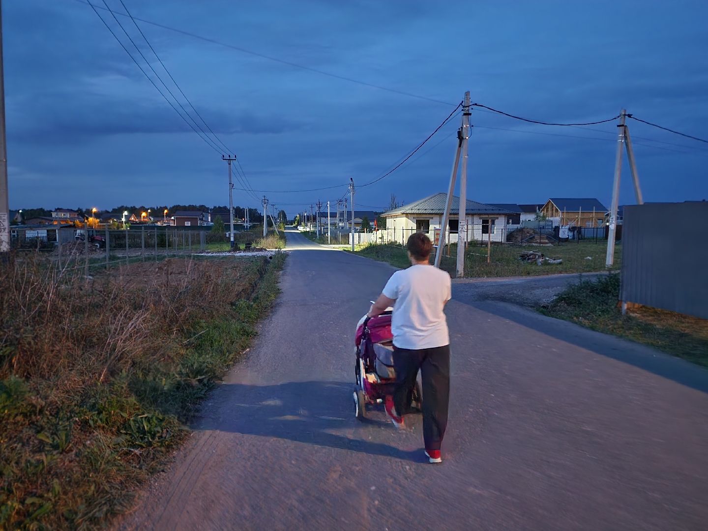 Чехов, поселок Васькино, выездная администрация, встреча с жителями, обращения жителей, Елена Валяева, многодетная мама, жильё, земельные участки, освещение, пешеходный переход, электроснабжение, контейнерная площадка,