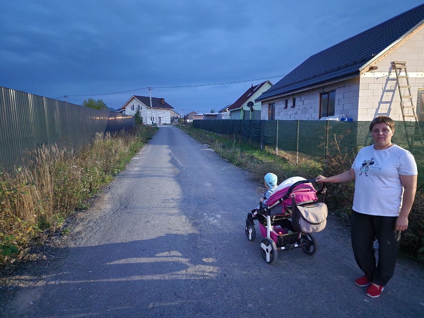 Чехов, поселок Васькино, выездная администрация, встреча с жителями, обращения жителей, Елена Валяева, многодетная мама, жильё, земельные участки, освещение, пешеходный переход, электроснабжение, контейнерная площадка,