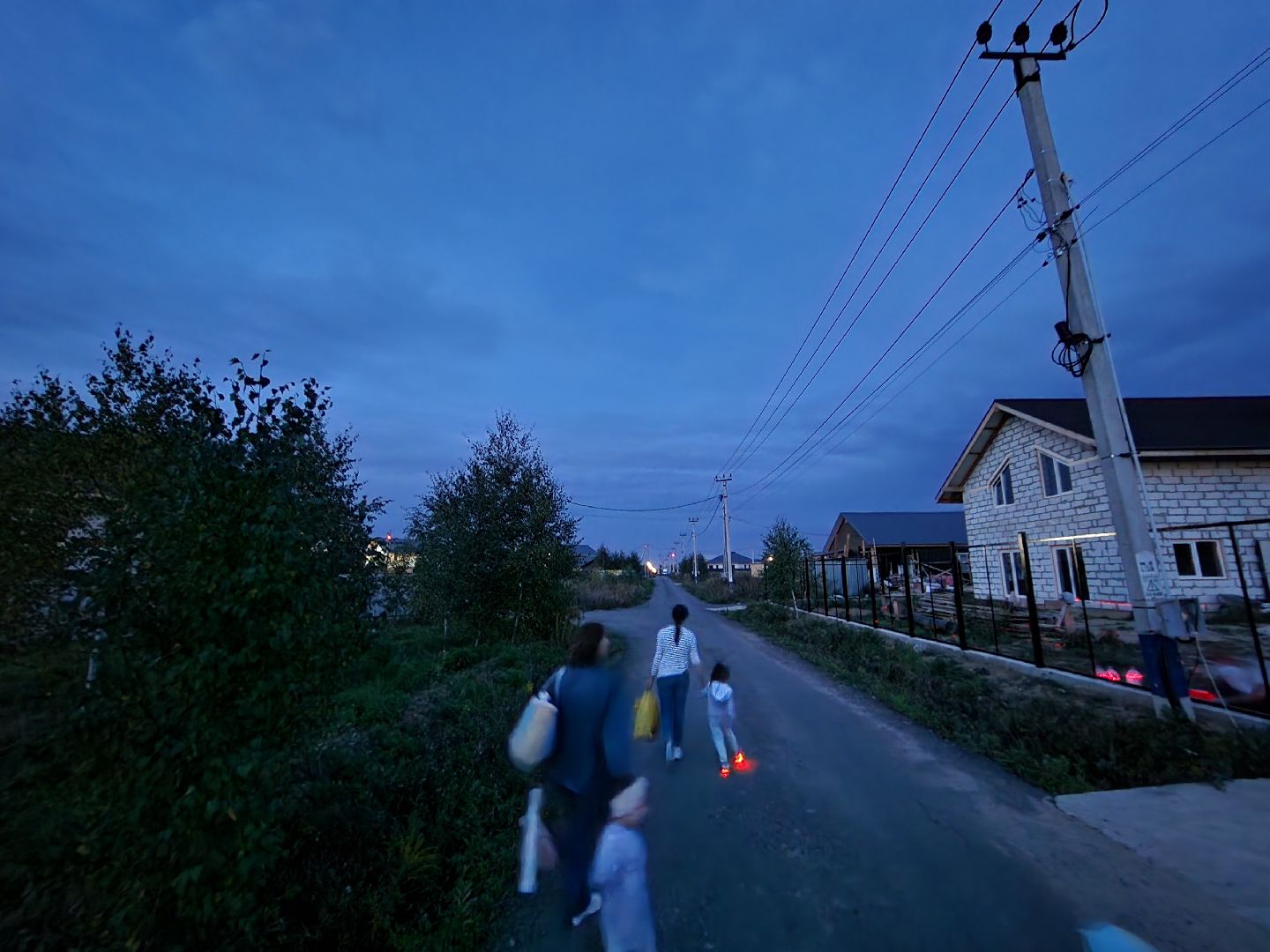 Чехов, поселок Васькино, выездная администрация, встреча с жителями, обращения жителей, Елена Валяева, многодетная мама, жильё, земельные участки, освещение, пешеходный переход, электроснабжение, контейнерная площадка,