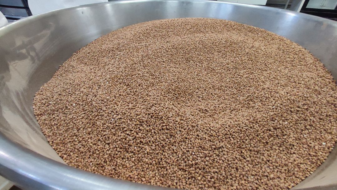 Кашира, общество