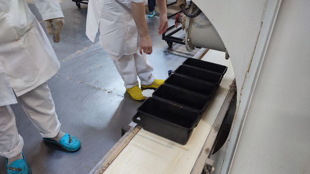 Кашира, общество