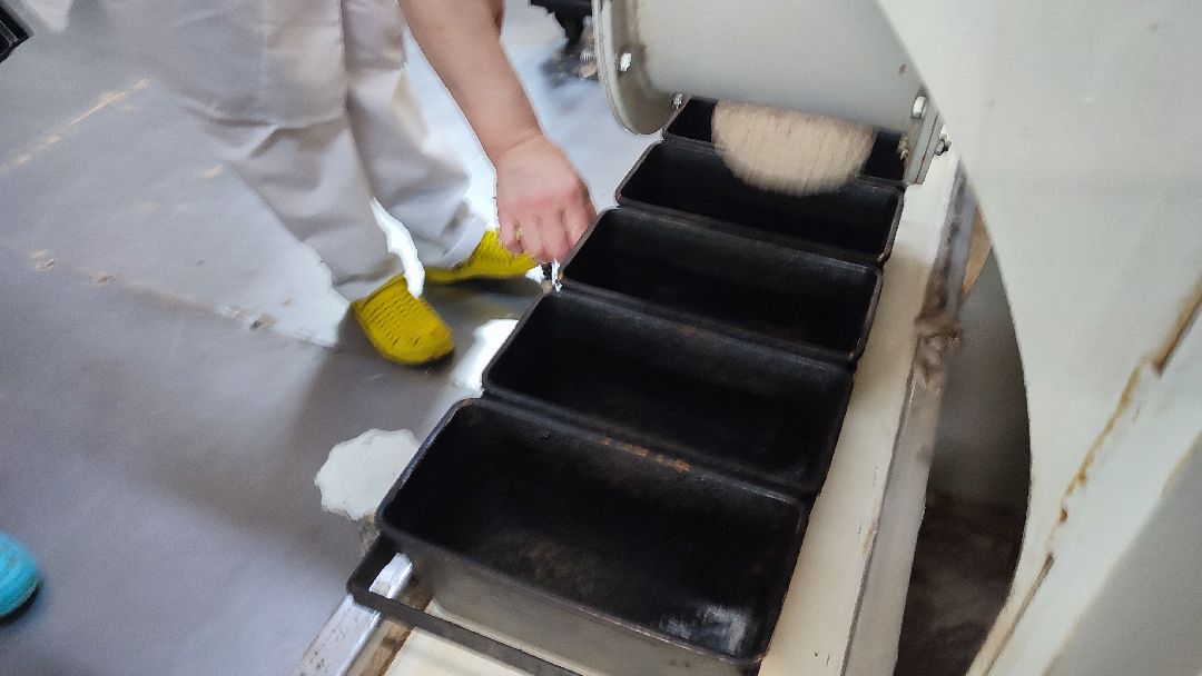 Кашира, общество