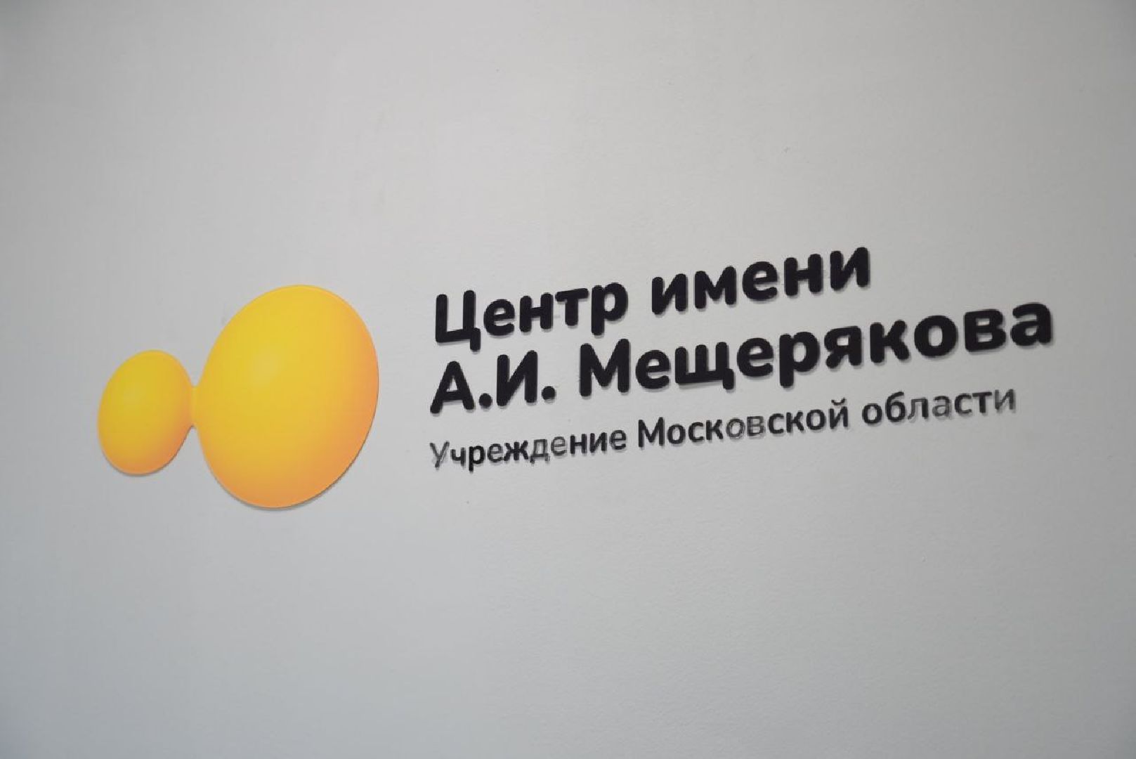 Семейный центр Мещерякова, Постинтернатное сопровождение, Люди с ОВЗ, Слепоглухие инвалиды, Социальное учреждение, Реабилитация, Сергиев Посад,