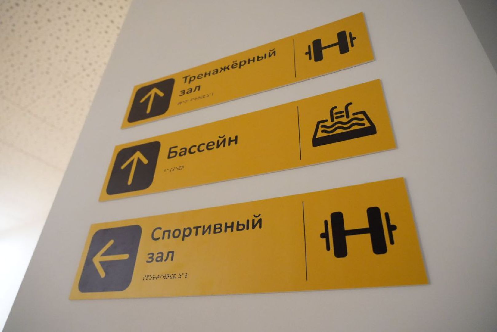 Семейный центр Мещерякова, Постинтернатное сопровождение, Люди с ОВЗ, Слепоглухие инвалиды, Социальное учреждение, Реабилитация, Сергиев Посад,