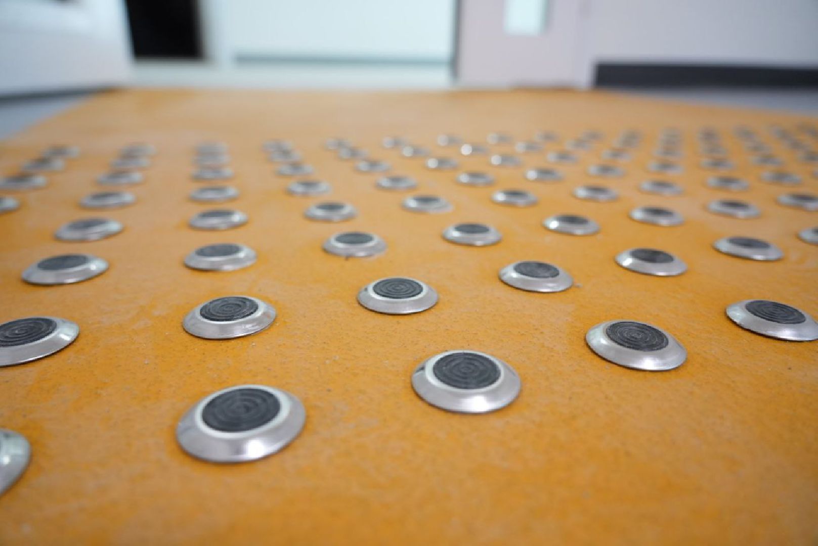 Семейный центр Мещерякова, Постинтернатное сопровождение, Люди с ОВЗ, Слепоглухие инвалиды, Социальное учреждение, Реабилитация, Сергиев Посад,