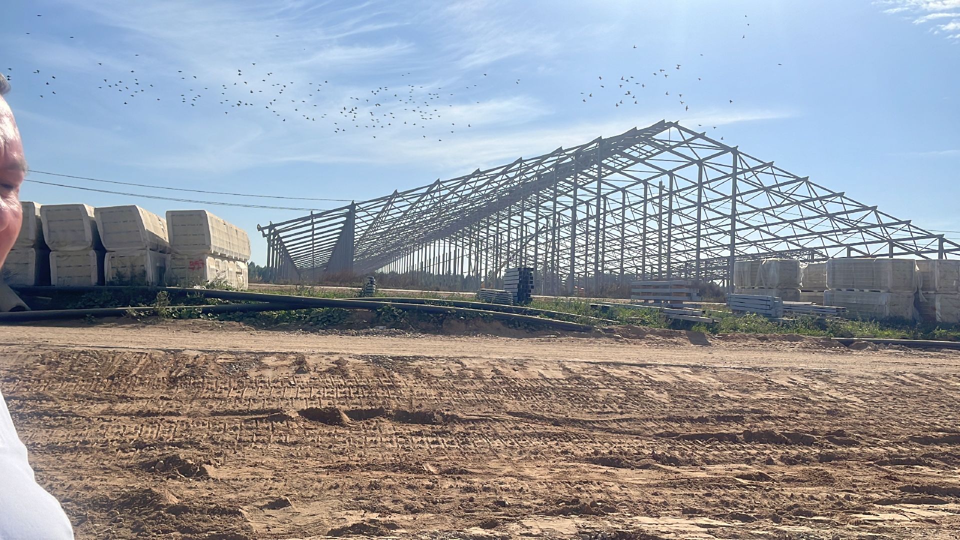 волоколамск, ферма,