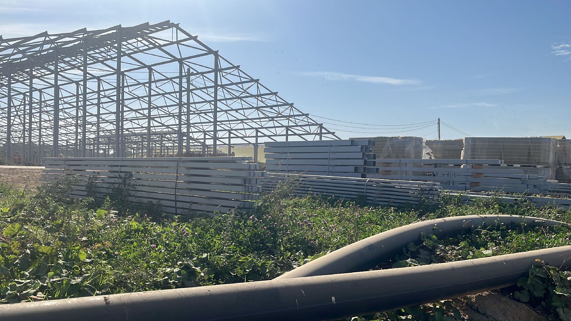 волоколамск, ферма,