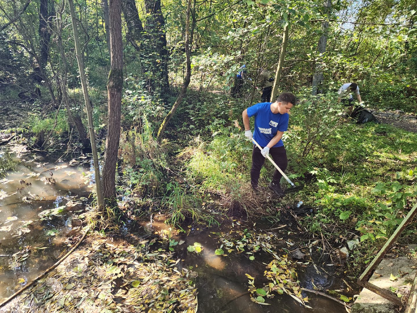 Ногинск, Эко акция, Жители, Общество, Субботник, Уборка, молодая гвардия, молодежный парламент,