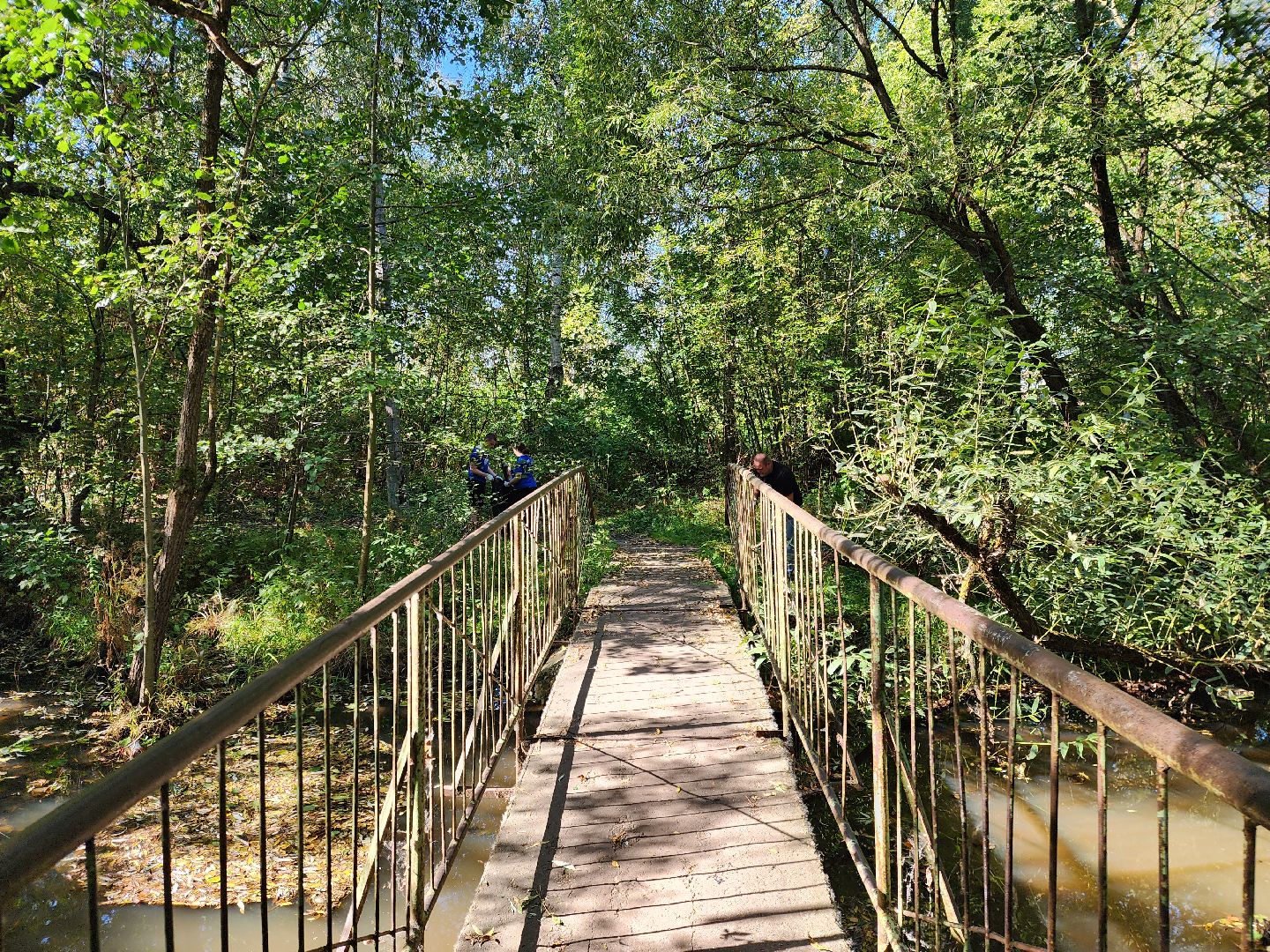 Ногинск, Эко акция, Жители, Общество, Субботник, Уборка, молодая гвардия, молодежный парламент,