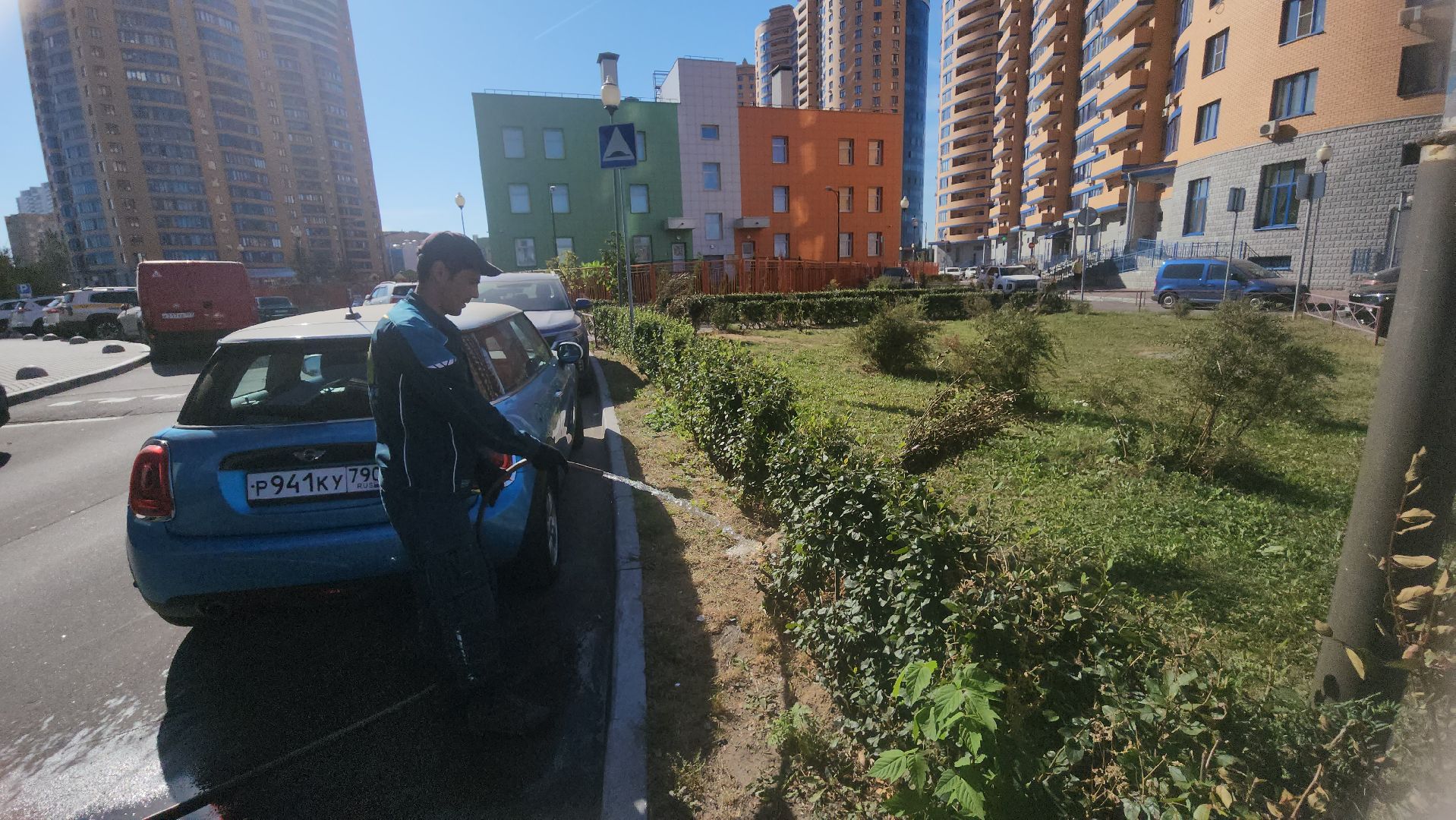 Реутов, День в лесу, посади свое дерево, высадка деревьев, кустарники, кизильник, ели, сосны, деревья,